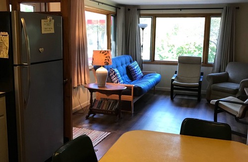 Silver Lake Cottage | AUG 1-15 OPEN, CUTE RETRO cabin, AC, Lake view, assoc. dock, pet friendly
