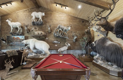 Dale House | Austin Hunters Paradise