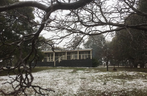 Tolmie House | Austracantha Cottage