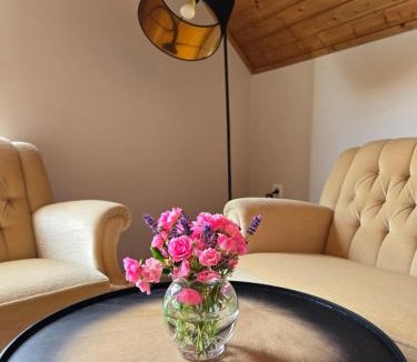 Bad Windsheim Apartment | Auszeit an der Aisch