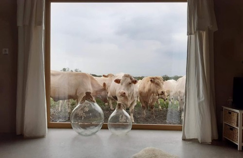 Saint-Forgeux-Lespinasse Cottage | Authentic House with Spa and Pets Allowed