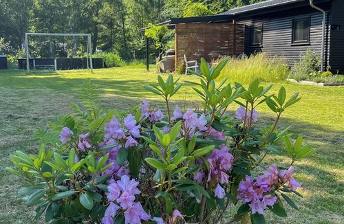 Hojby House | Authentecity between forest and beach in Odsherred