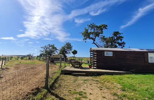 Burthecourt-aux-Chenes Cottage | Authentic caravan in nature near Nancy
