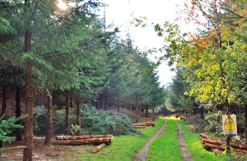 Okehampton Apartment | Authentic Mongolian Yurt