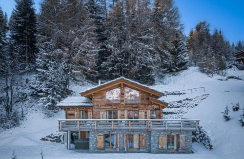 Riddes Ski Chalet | Authentic Swiss Spa Chalet Nesoya Jacuzzi Sauna