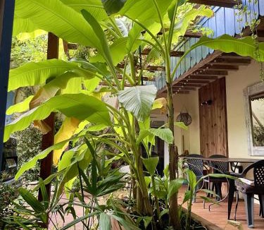 Rouvenac House | Autour d'une Toile