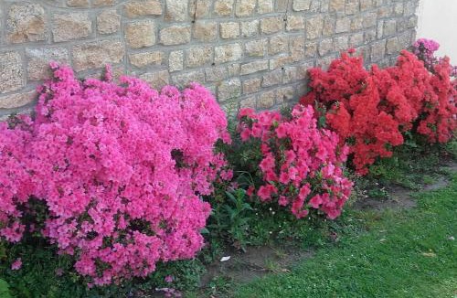 Pleine-Fougeres House | " autour de la Baie "