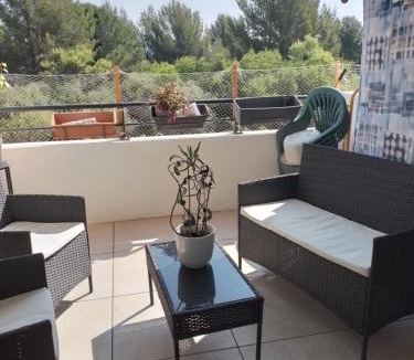 Cuers House | Autour des vignes