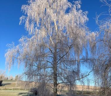 Cromac House | AUX ABORDS DU PoT BOUILLANT
