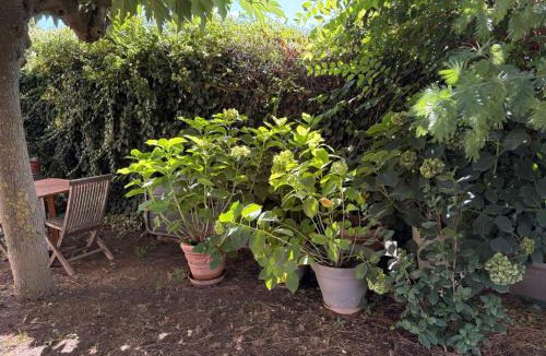 Saint-Just Bed & Breakfast | Aux Amelierets