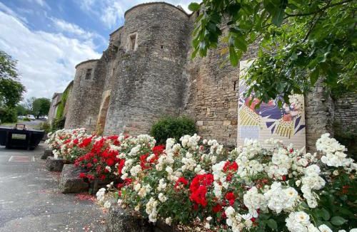 Cordes-sur-Ciel House | Aux anciens remparts