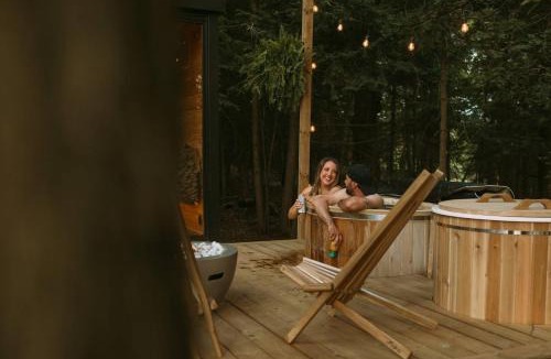 Huntsville House | Aux Box Muskoka Modern Muskoka Bunkie