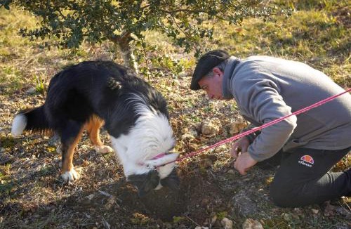 Sorges-et-Ligueux-en-Perigord House | Aux delices de Saleix