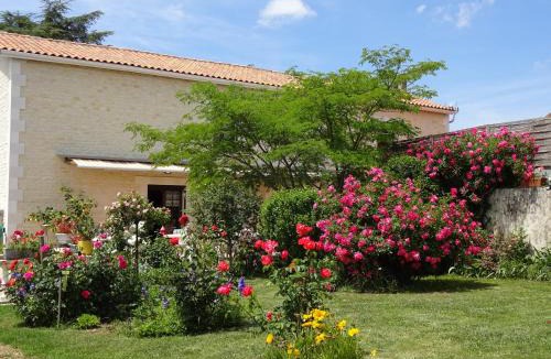 Luxe House | Aux Orangers