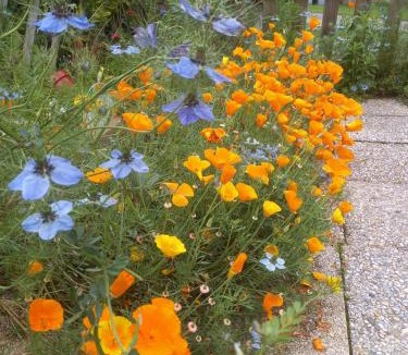 Sainte-Therence House | Aux Roses