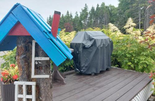 Chandler Ski Chalet | Auxmilleetunreves