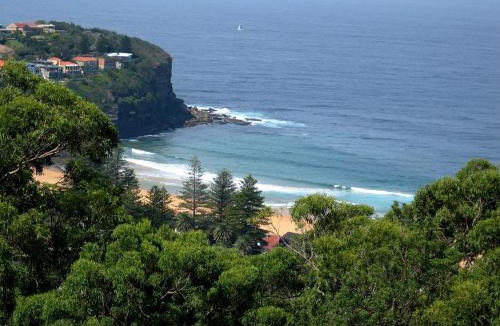 Bilgola Plateau Apartment | Avalon Horizons