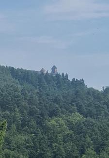 Thannenkirch Apartment | Avalon III