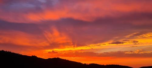 Thannenkirch Apartment | Avalon III