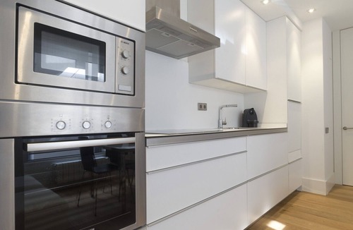 San Sebastian Centro Apartment | AVENIDA SUITE LA CONCHA