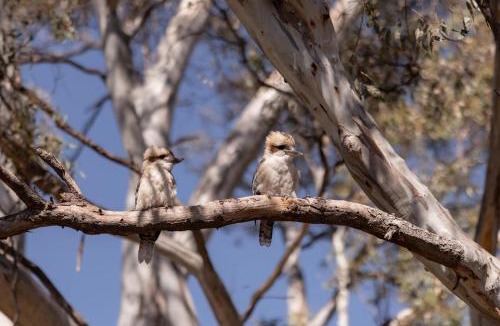 Avoca Bed & Breakfast | Avoca Cottages VICTORIA