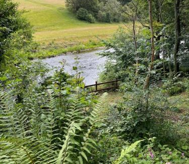 Glyn-Dyfrdwy House | Avondale