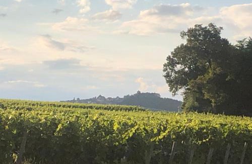 Thauvenay House | Avre de Paix Sancerrois