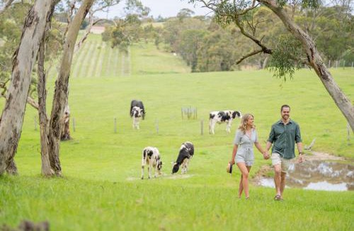 Mount Jagged Bed & Breakfast | Away At Ancell