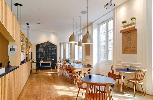 Griffon - Royale Hostel | Away Hostel & Coffee Shop