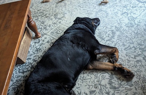 Sparks Glencoe House | awesome awesome