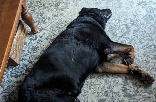 Sparks Glencoe House | awesome awesome