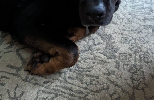 Sparks Glencoe House | awesome awesome