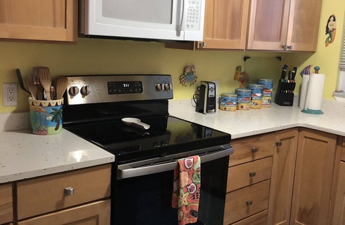Crescent Beach House | Awesome direct ocean beach house!