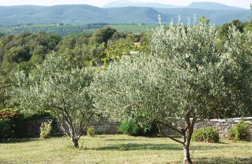 Orgnac-l'Aven House | Awesome home in Orgnac l'Aven with WiFi