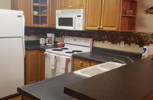 Kingsland Condo | AwesomeGetaway*Lakeviews! Homeawayfromhome!