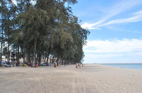 Kampung Ladang Tok Pelam Apartment | AyaNoor Homestay