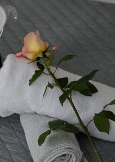 Iragna House | Ayurveda House