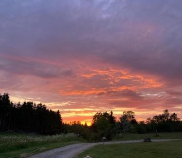 Silkeborg Apartment | Bøllingsø Feriehus