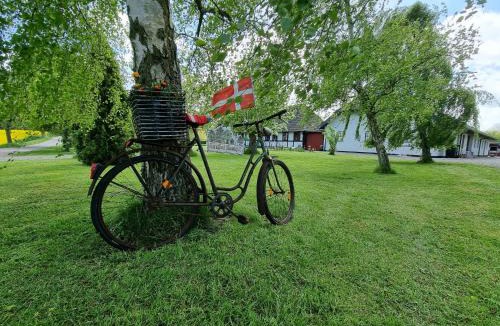 Askeby Bed & Breakfast | B&B Bauernhofferien auf Møn