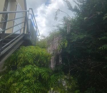 Lamotte-Beuvron Bed & Breakfast | B&B Chez Séverine