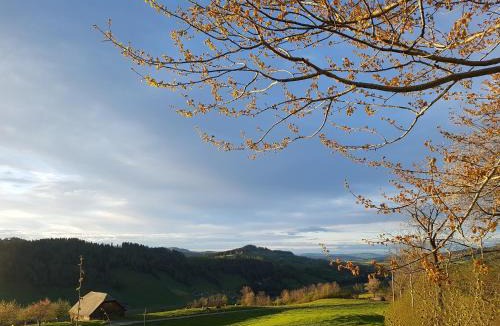 Hasle Bed & Breakfast | B&B Hof Grosschreie