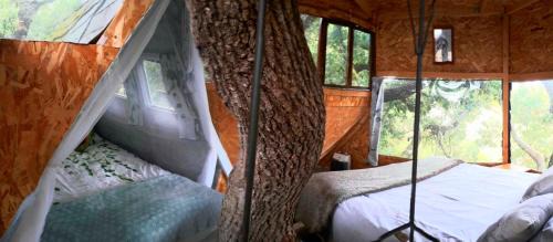 Mones Bed & Breakfast | B&B La Cabane Insolite