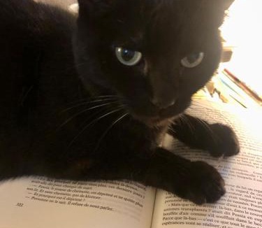 Bourgheim Bed & Breakfast | B&B Le Lodge