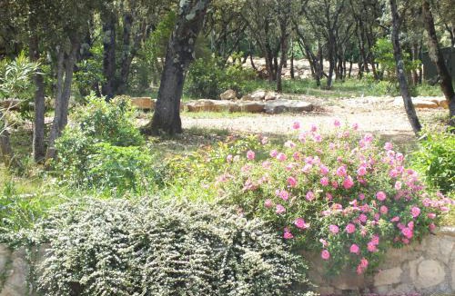 Vacquieres Bed & Breakfast | B&B Le Mas Des Chenes