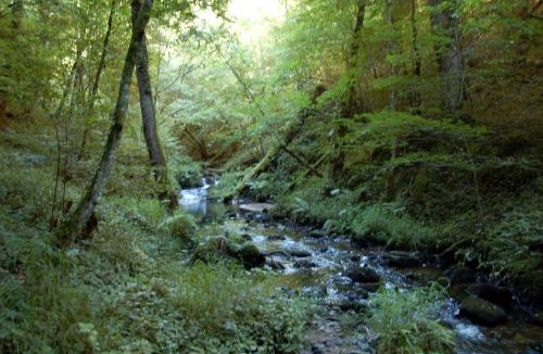 Vollore-Montagne Bed & Breakfast | B&B Les Paddocks