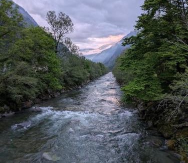 Lostallo Bed & Breakfast | B&B Lostallo Beat and Bloom