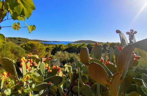 Hvar Bed & Breakfast | B&B Paradiso - Pakleni Islands Hvar