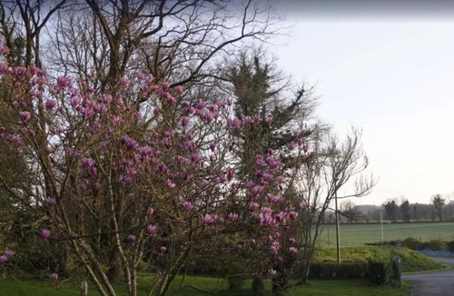 Mellionnec Bed & Breakfast | B&B Presbytery 1667