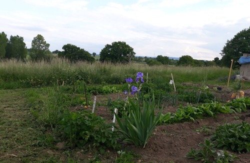 Target House | B&B room sings crystal