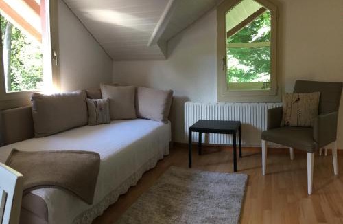Gsteigwiler Apartment | B3 Apartment